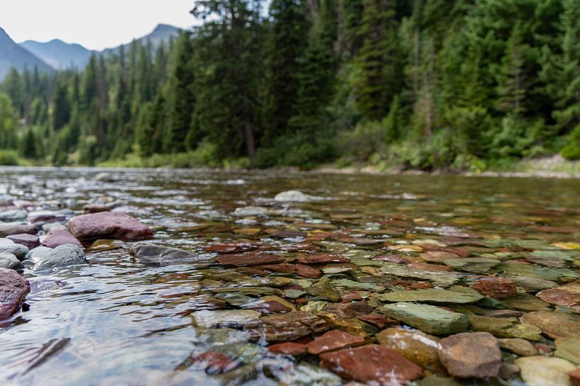 Glacier National Park, Two Medicine, Montana, USA by Jeroen van Deel