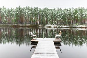 Forêt enneigée avec reflet