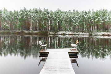 Besneeuwd bos met reflectie van Yanuschka