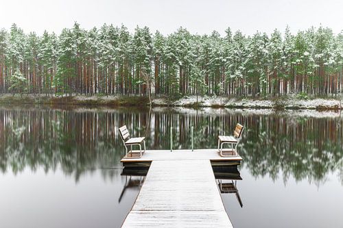 Besneeuwd bos met reflectie