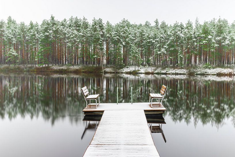 Verschneiter Wald mit Spiegelung von Yanuschka | Fotografie Noordwijk