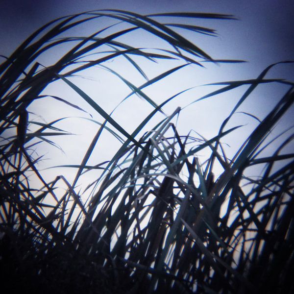 fly away 02 by poetic snapshots
