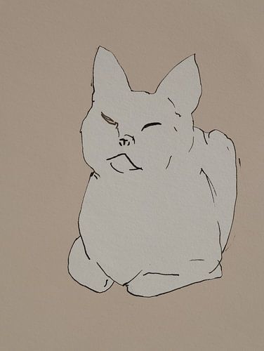 Sketch of a cat