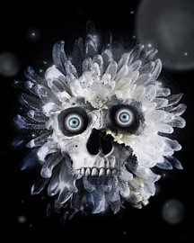 Skullfolower von Alexander Tropmann
