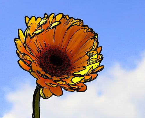 Summer in one flower