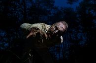The Shadow of Doom: An encounter with the undead by Remco Ditmar thumbnail