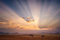 Sonnenaufgang über der Wüste von Peter Poppe Miniaturansicht