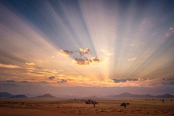 Lever du soleil sur le désert sur Peter Poppe