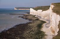 Seven sisters 6