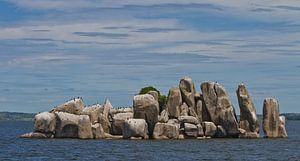 Cormorans sur une île rocheuse du lac Victoria, Tanzanie sur Peter van Dam
