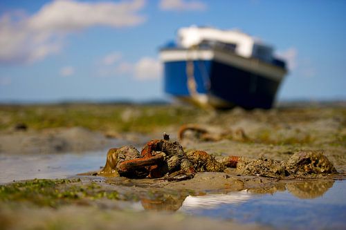 Boot op het Bretonse wad
