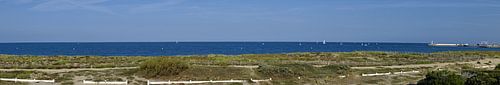 Panorama van het strand en de duinen met zeilboten en golven in La Turballe, Bretagne