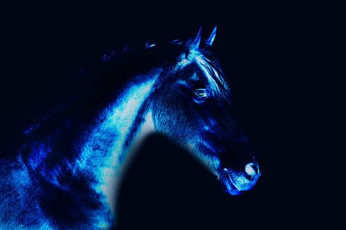 Blauw minimalistisch paard