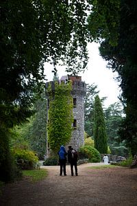 Romantiek in Powerscourt Gardens sur Eddo Kloosterman