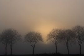 Sonnenaufgang bei den Tjonger in Friesland von Rene  den Engelsman