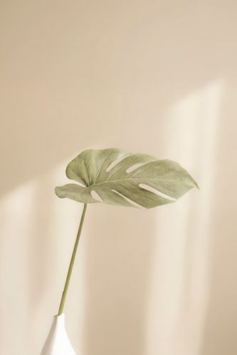 Quiet light: minimalist and botanical by Dutch Art Works