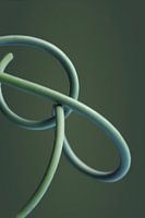 Verschlungenes