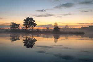 Putse Moer auf der Heather Kalmthoutse Heide in Belgien