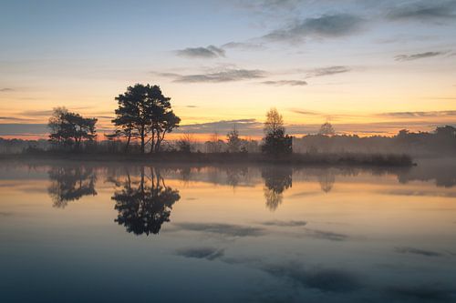 Putse Moer op de Kalmthoutse Heide