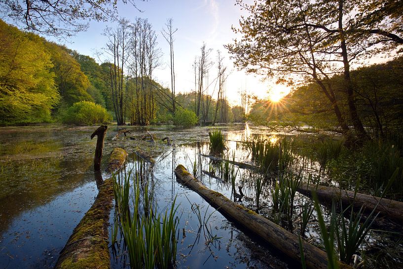 Am See von Marko Sarcevic