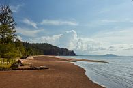 Het strand van Bako National Park, Borneo van Jolene van den Berg thumbnail