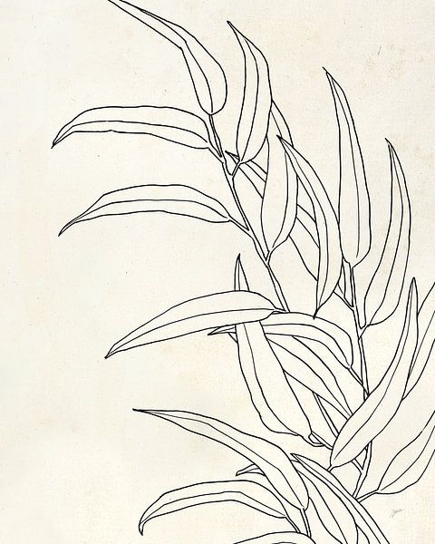 Eucalyptus II, Karyn Panganiban by Wild Apple