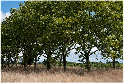 Natuur Frankrijk van Anuska Klaverdijk