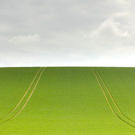 Lines to the Horizon – Minimalist Landscape by Anne-Marie Boere