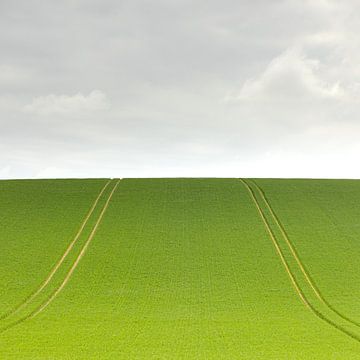 Lines to the Horizon – Minimalist Landscape by Anne-Marie Boere