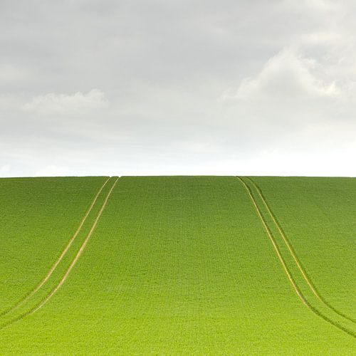 Lijnen naar de Horizon – Minimalistisch Landschap
