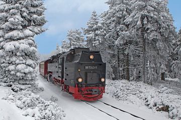 De Brockenbahn in het winterbos op de Brocken van t.ART
