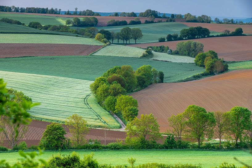 Niederländisches Hügelland mit einer schönen Aussicht auf Wiesen von Kim Willems