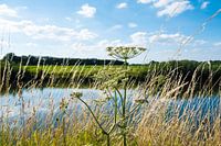 Langs de oever van de rivier