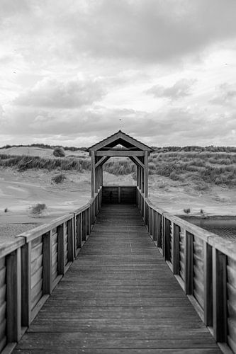 Brücke mit schönen Dünen. Schwarz-Weiß-Fotografie