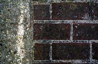 Pavers