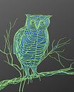 Uil op tak groen-blauw-grijs van Harmanna Digital Art thumbnail