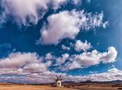 Molino de Tefia, windmolen met 6 wieken, Tefia, Fuerteventura, Spanje van Rene van der Meer thumbnail