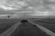 Panorama der Serengeti von Bart van Mastrigt Miniaturansicht