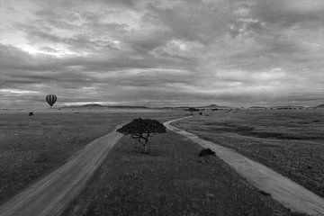 Panorama van de serengeti van Bart van Mastrigt