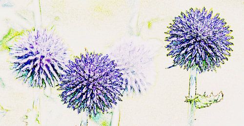 blue ball thistle mixed media
