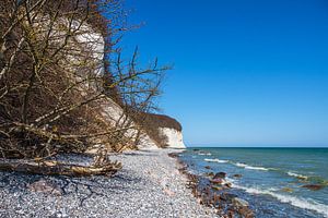 Kreidefelsen an der Küste der Ostsee auf der Insel Rügen