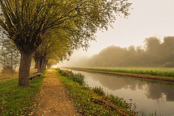 Herfstochtend bij de Tweemolentjeskade, Delft