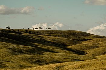 Rolling Tuscany