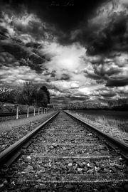 Bahn von Tim Lee Williams