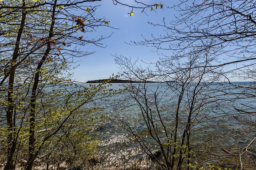 Am Ufer in der Goor, Insel Vilm, Lauterbach auf Rügen von GH Foto & Artdesign