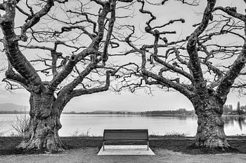 Radolfzeller Mole mit Blick auf den Zeller See - Bodensee