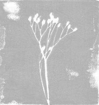Moderne abstracte minimalistische botanische kunst. Witte plant of bloem op grijs in retrostijl van Dina Dankers