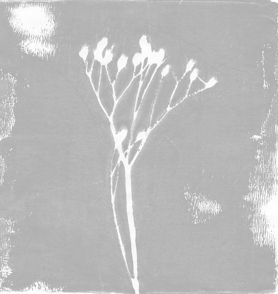 Modern abstract minimalist botanical art. White plant or flower on grey in retro style by Dina Dankers