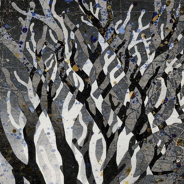 Mangroven von Kay Weber