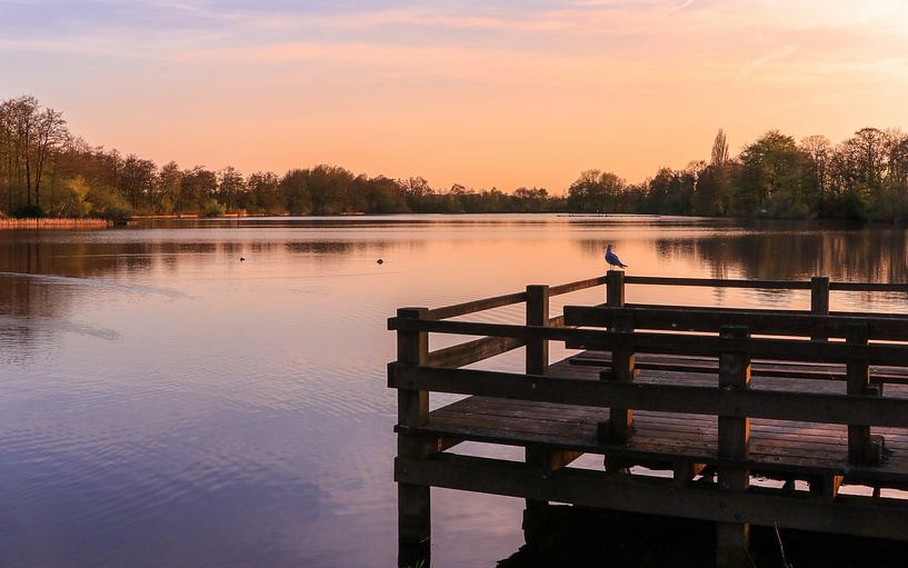Pond in Haren Groningen by Marga Vroom
